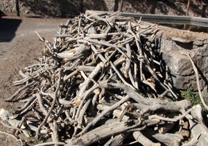 کشف بیش از ۷ تن چوب قاچاق در استان تهران