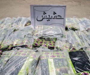 کشف بیش از ۷۰۰ کیلوگرم مواد افیونی در غرب استان تهران