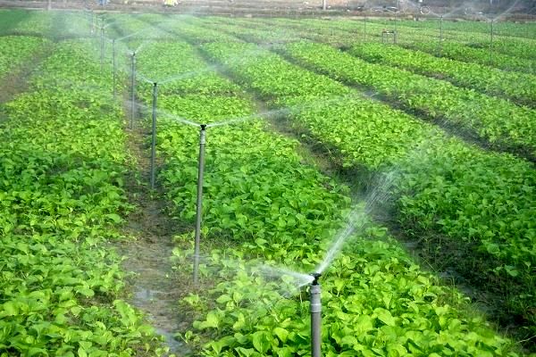 افتتاح ۵ طرح کشاورزی در شهرستان شهریار