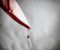 قتل همسر مطلقه پس از دیدن فیلم غیراخلاقی وی در گوشی موبایل