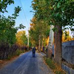 مجموعه عکسهای طبیعت شهریار