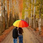 نگین غرب استان تهران ، کوچه باغ های زیبای شهریار